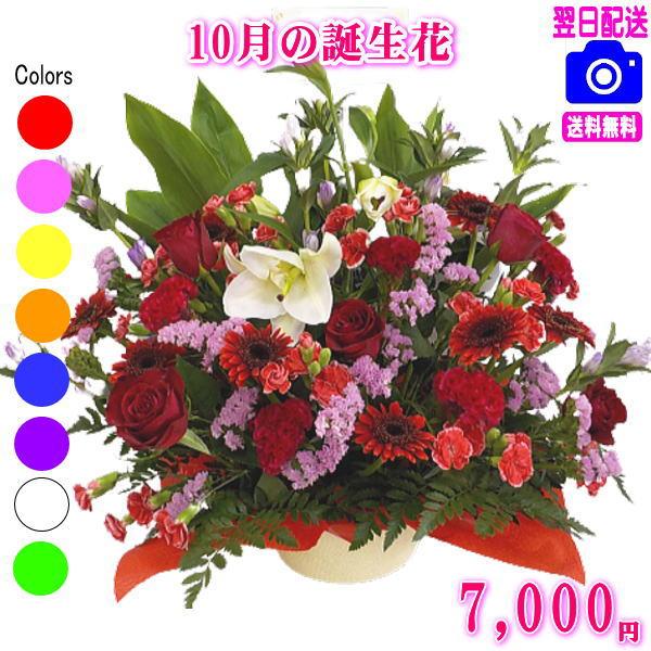 誕生日 花 ギフト プレゼント女性 送料無料 季節の花でおまかせアレンジメント 女性  開店 オープン 結婚記念日 お祝い フラワー お見舞い 退職 送別 花 プレゼント 即日発送 誕生日プレゼント 生花 お花 女性 母 妻 ガーベラ お祝...