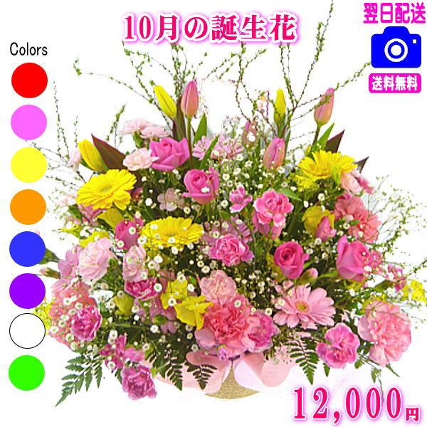 花 ギフト 誕生日 10月の誕生花 デザイナーにおまかせ12,000円 送料無料 翌日配達   爆買