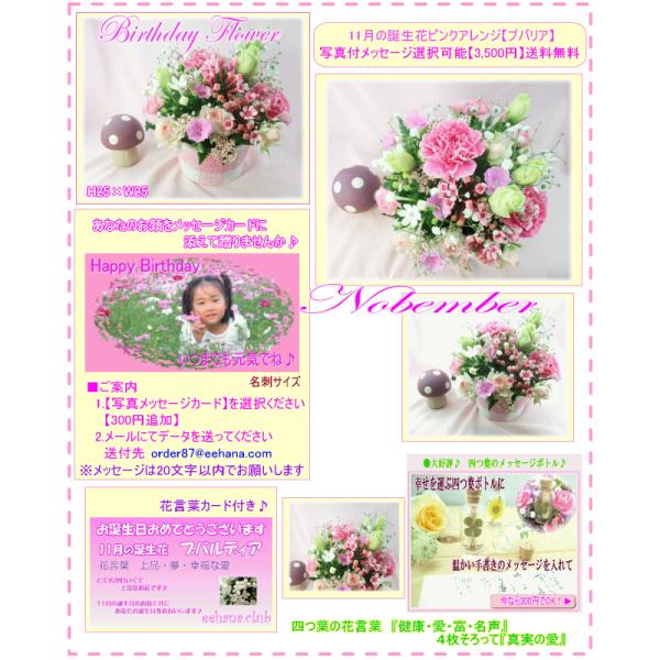 花 ギフト バースデー11月の誕生花 ピンクアレンジ3 500円 送料無料 花言葉付き ブバリア 写真付きメッセージ選択可 Buyee Buyee Japanese Proxy Service Buy From Japan Bot Online
