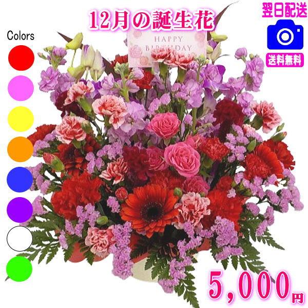 ■土・日・祝も対応ＯＫ 年中無休 15時までのご注文であすつく対応  ■お届け商品画像確認ＯＫ