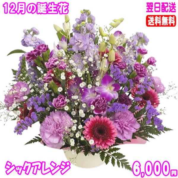 花 ギフト 誕生日 12月の誕生花シックアレンジ6,000円 送料無料 翌日配達  花言葉付きデンファレ 翌日配送対応