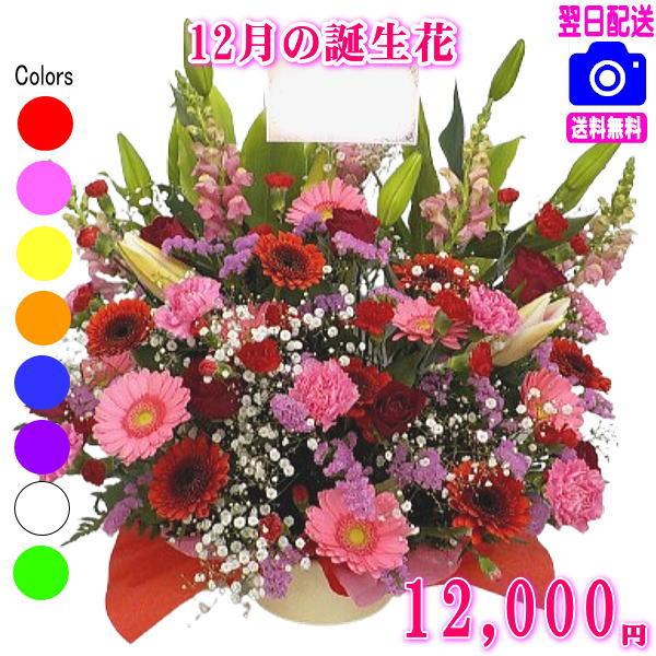 花 ギフト 誕生日 12月の誕生花デザイナーにおまかせ12,000円 送料無料 翌日配達  デンファレ フラワーアレンジ・花束