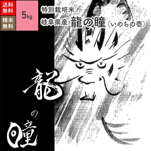 米 お米 5kg 龍の瞳 岐阜県産 特別栽培米 6年産 : gen-gifu-ryu5 米 お米 5kg 龍の瞳 岐阜県産 特別栽培米 6年産 : gen-gifu-ryu5