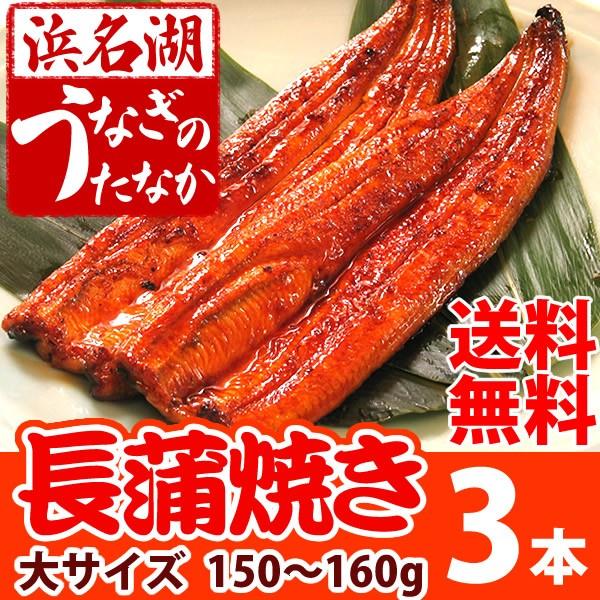 国産うなぎ通販 海産物 お祝い 蒲焼き大サイズ 3本[鰻]