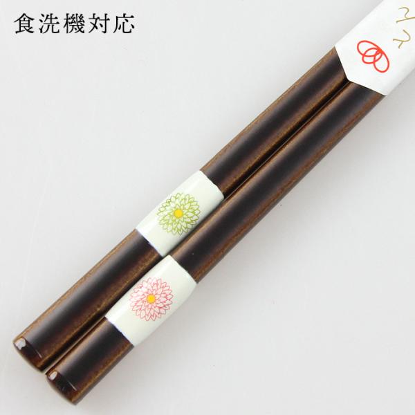 Xő H@Ή   Ƃڋ _A 21cm Y ዷh