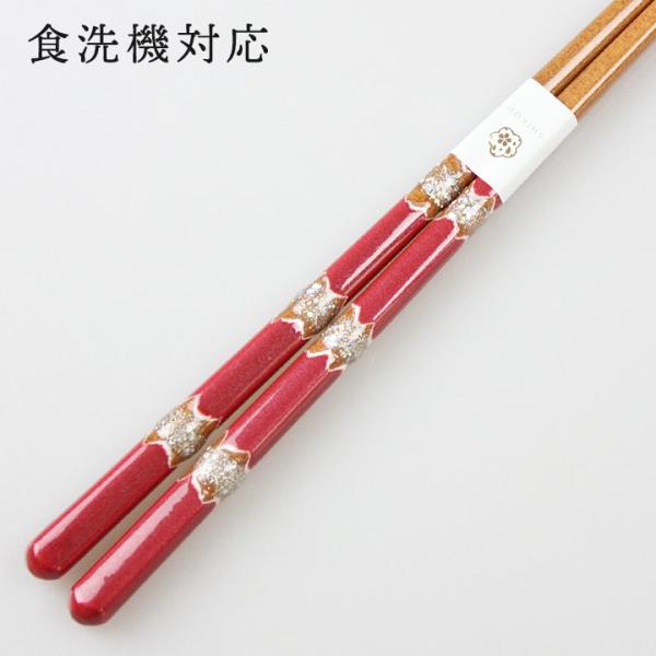 Xő H@Ή  Ƃڋʃo[h 23cm Y ዷh