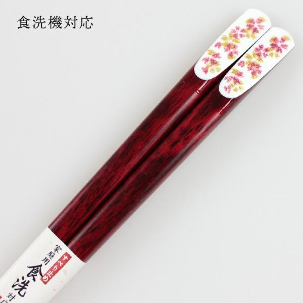 Xő H@Ή     21cm Ђ̈ Y ዷh