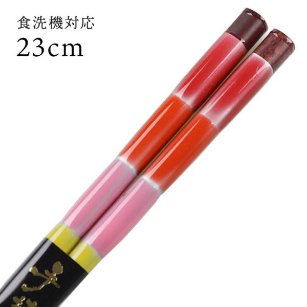 Xő H@Ή  Ƃڋ   23cm Y ዷh