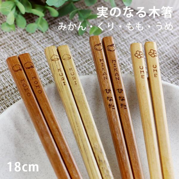 郵送で送料無料 お箸 実のなる木箸 子ども用 18cm （みかん・もも・くり・うめ）