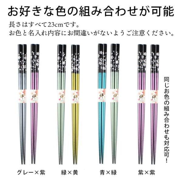 eemon01_45917-1_4_d_20250131145606