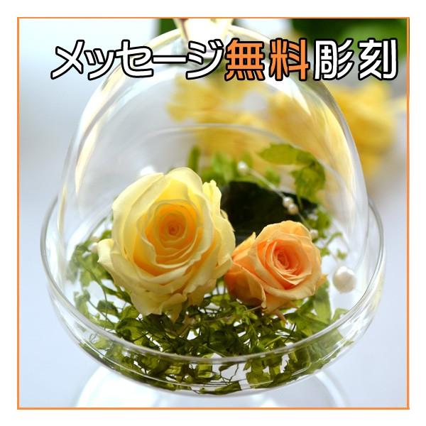 送料無料 プチドーム型プリザーブドフラワー イエロー 枯れないお花 メッセージ名入れ可能 ウェディング ブライダル 結婚式 誕生日 出産祝い 母の日 Buyee Buyee Japanese Proxy Service Buy From Japan Bot Online