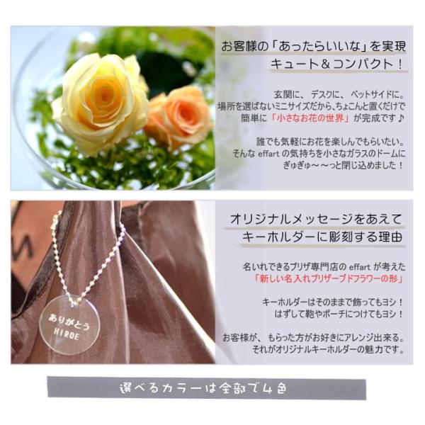 送料無料 プチドーム型プリザーブドフラワー イエロー 枯れないお花 メッセージ名入れ可能 ウェディング ブライダル 結婚式 誕生日 出産祝い 母の日 Buyee Buyee Japanese Proxy Service Buy From Japan Bot Online