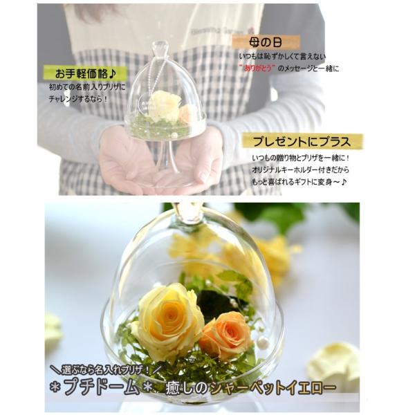 送料無料 プチドーム型プリザーブドフラワー イエロー 枯れないお花 メッセージ名入れ可能 ウェディング ブライダル 結婚式 誕生日 出産祝い 母の日 Buyee Buyee Japanese Proxy Service Buy From Japan Bot Online