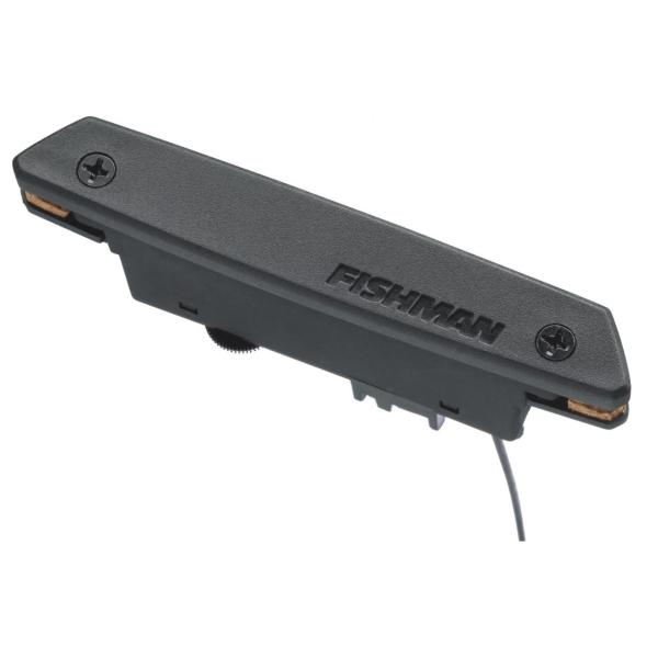Fishman Rare Earth Bajo Quinto Soundhole Pickup｜フィッシュマン 