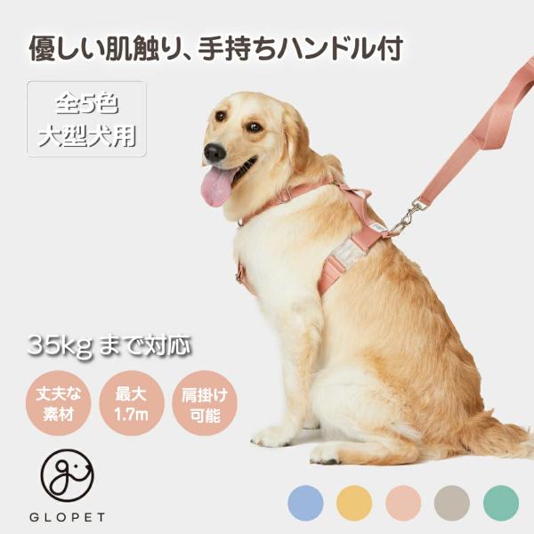 リード、カラーセットで　大型犬　Leeds Dog Supply ゴールデン creativeonline-shop_k14