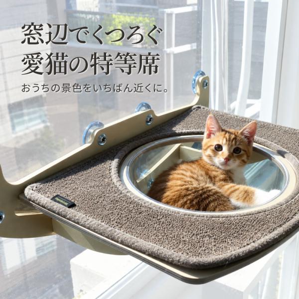 necocia ドーム型 ウィンドウキャットウォーク 吸盤で窓に設置 猫 白樺 天然木 幅575mm× 奥行340mm×高さ200mm メーカー直送 代引不可