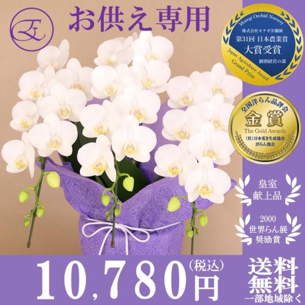 胡蝶蘭 お供え お悔やみ 専用 スーパーアマビリス 3本立 仏前 供養 ラッピング付き ミディ胡蝶蘭 ご仏前 ご霊前 Ma 11 Buyee Buyee Japanese Proxy Service Buy From Japan Bot Online