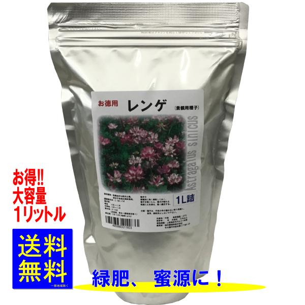 レンゲ種子 1Ll詰 げんげ 蓮華 福花園種苗 : ロイヤル福花園 Yahoo!店