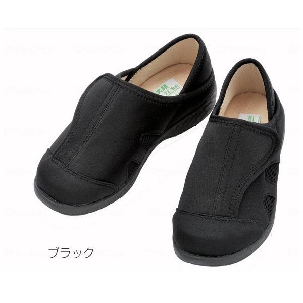 Ί Ƃ߂郋[V[Y Si22`22.5cmj^ubNi_ːNj