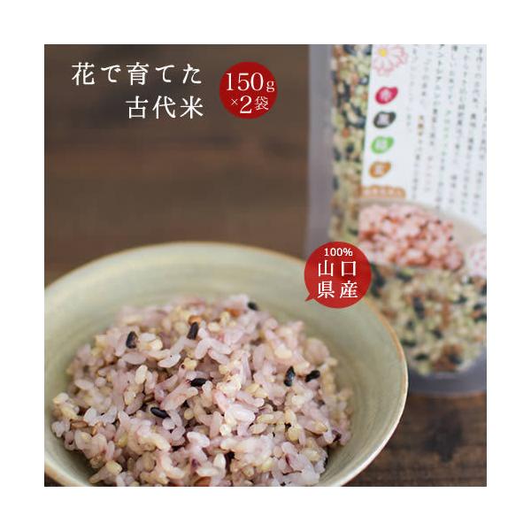 雑穀米 国産 送料無料 花で育てた古代米 2袋 発芽玄米入り お試し ポイント消化 山口県産100％