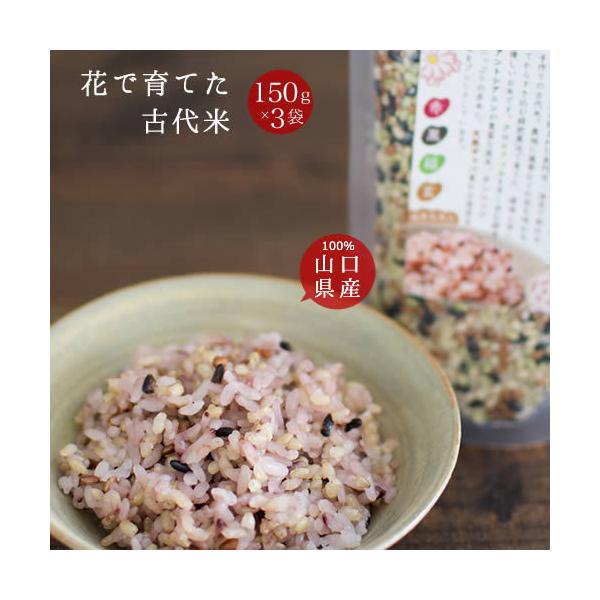 雑穀米 国産 送料無料 花で育てた古代米 3袋 発芽玄米入り お試し ポイント消化 山口県産100％