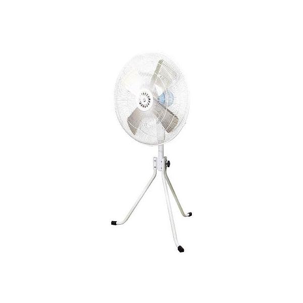  ^H JA[Xt|bLvOdl K600E