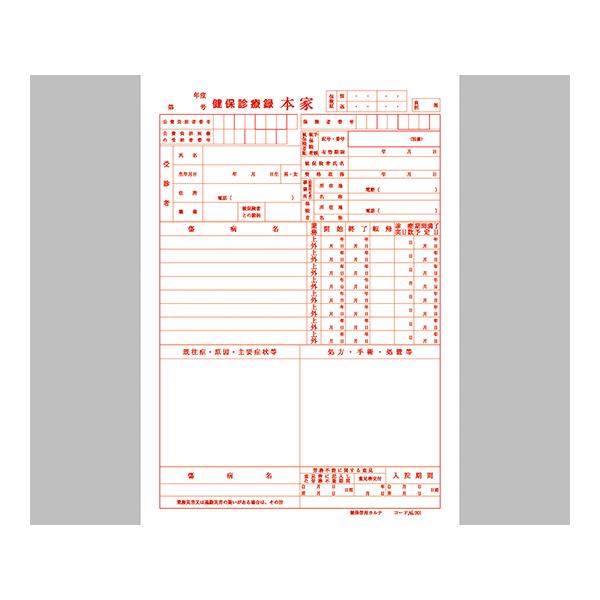 健保カルテ B5サイズ 1号紙 301