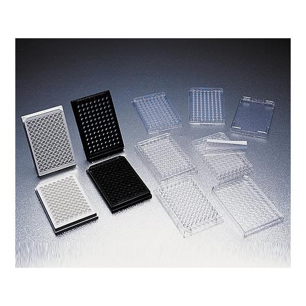 1-8425-06 ZJ`[v[g }`EFv[gEUt^t 96EF