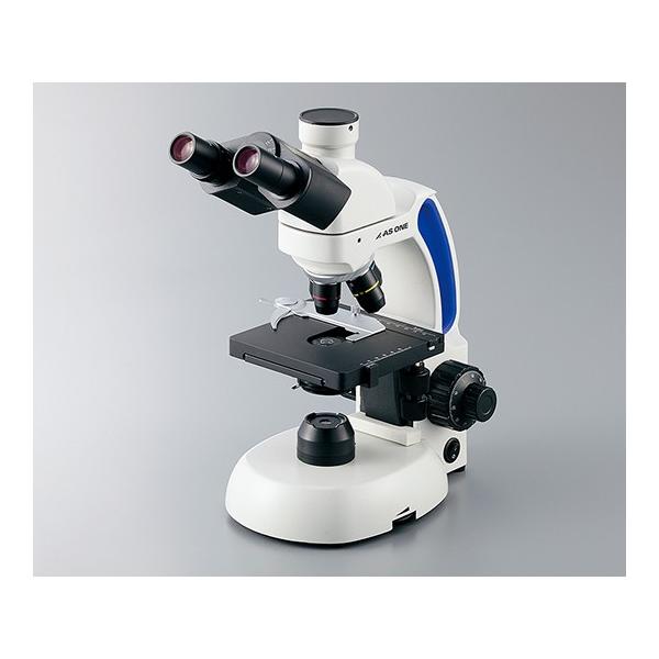 3-6689-02 LEDvY O 40`1000×