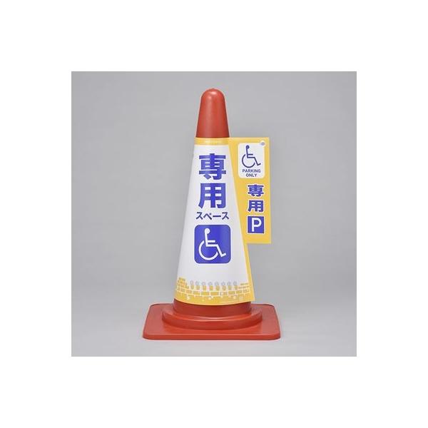 R[WJo[ R[Jo[6 Ԉ֎qp 367006