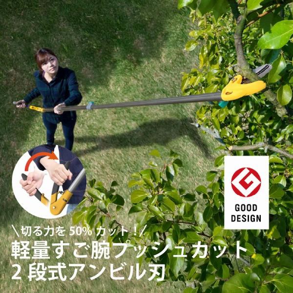 高枝切りバサミ 高枝切鋏 高枝切り鋏 剪定ばさみ 枝切りばさみ 果樹剪定 庭木剪定 伸縮 1.7~2.9m 13段階調整  アンビル刃 プッシュカット 切断径15mm 女性 高齢