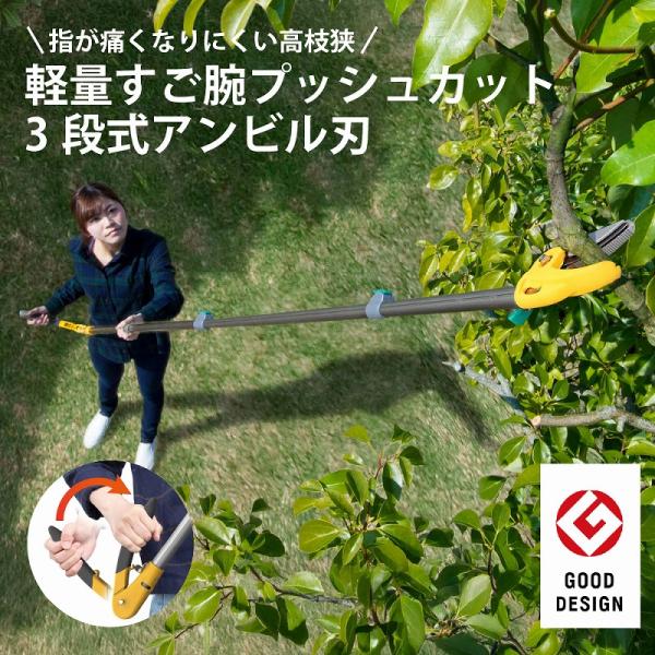 高枝切りバサミ 高枝切鋏 高枝切り鋏 剪定ばさみ 枝切りばさみ 果樹剪定 庭木剪定 伸縮 1.3~3m 18段階調整  アンビル刃 プッシュカット 切断径15mm 女性 高齢者