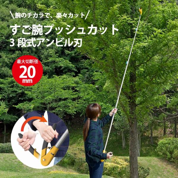 高枝切りバサミ 高枝切鋏 高枝切り鋏 剪定ばさみ 枝切りばさみ 高枝ばさみ 高枝カッター 3段式 3m 17段階 伸縮 アンビル刃 切断径20mm 生木 太枝 軽い力 切断力