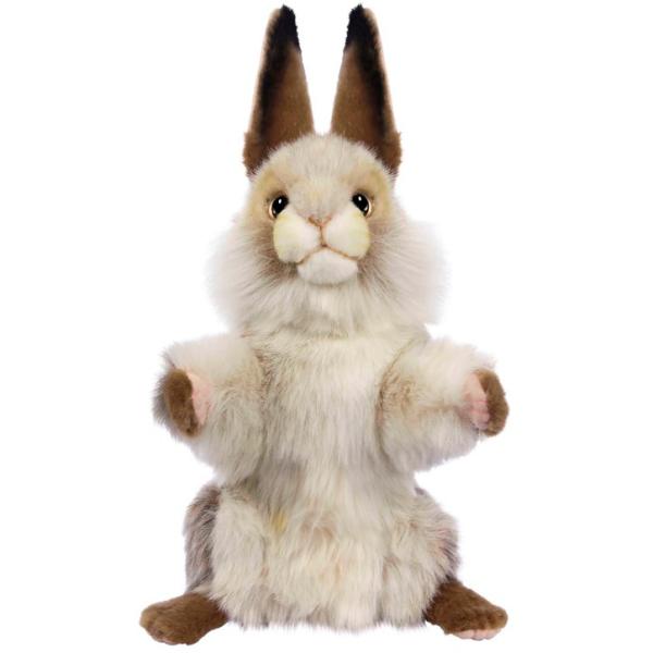 HANSA/nT ETM FW/tFAEFC wbhJo[(ʂ  )(Stpi ObY Mtg v[g)