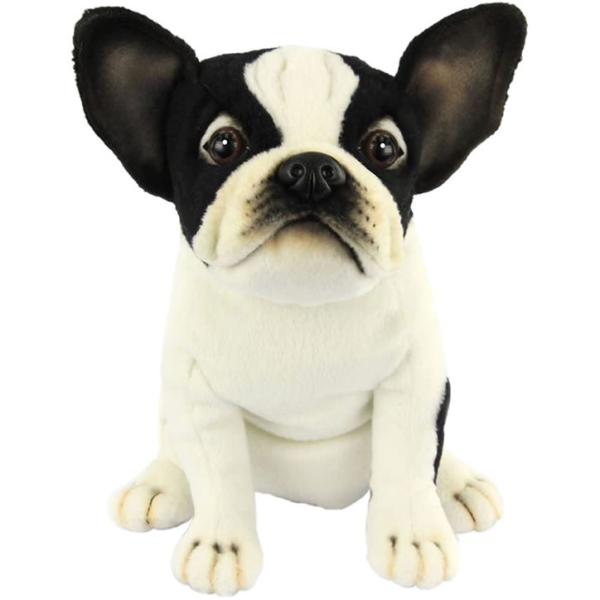 HANSA/nT t`uhbO FW/tFAEFC wbhJo[(ʂ   )(Stpi ObY Mtg v[g)