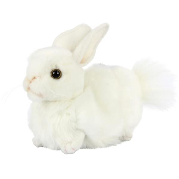 HANSA/nT VETM p^[Jo[is^pj(ʂ  )(Stpi ObY Mtg v[g)