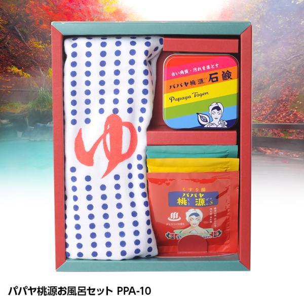 pp CZbg PPA-10 ܏Fi(G ObY Cxg ii MtgZbg)