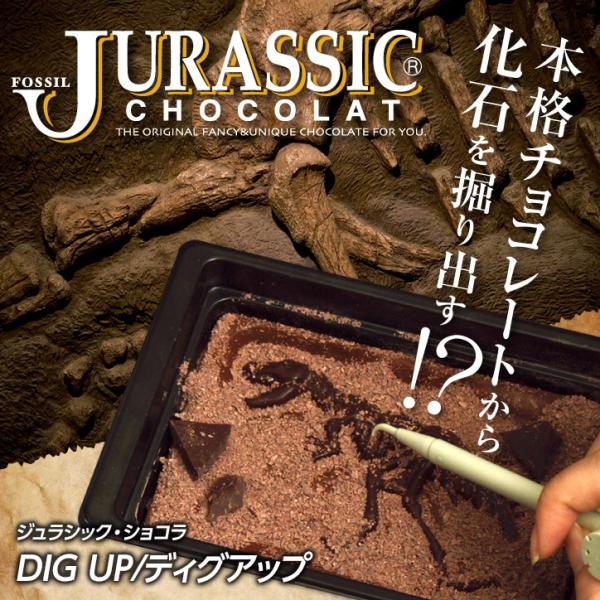 テレビや雑誌で話題、本格チョコレートから恐竜の化石を発掘するおもしろチョコレート。付属のハンマーを使って表面のチョコレートを割って破片を取り出し、ブラシやピックを使うと恐竜の化石が出てきます。恐竜はティラノサウルス、ステゴサウルス、ブラキオ...