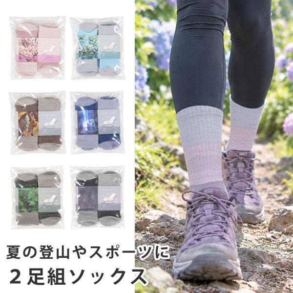 ハイキングソックス 2足組 夏用 登山 靴下 レディース メンズ VAXPOT(バックスポット) VA-8273