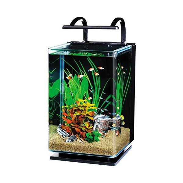 テトラ Tetra リビングキューブ オールインワン水槽 淡水 海水用 容量 約l Corkscrewerreport Com