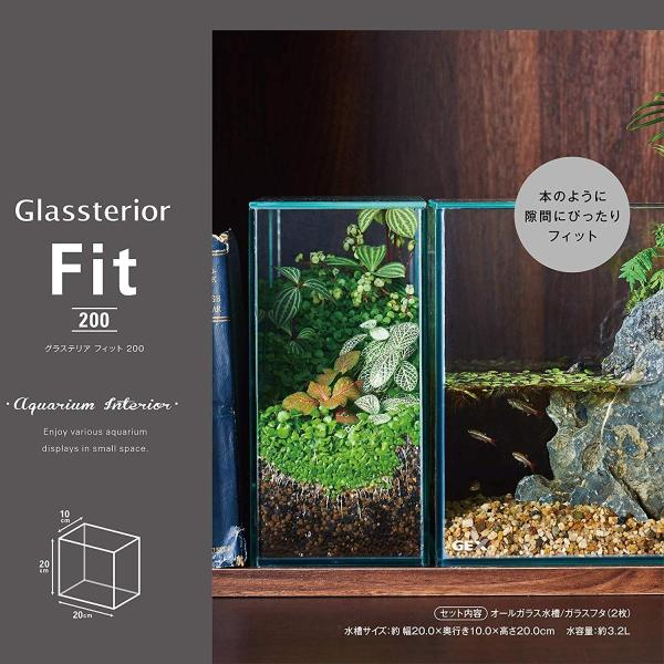 ジェックス グラステリアフィット0 フレームレス水槽 ガラスフタ付 Jornaldopovaodf Com Br