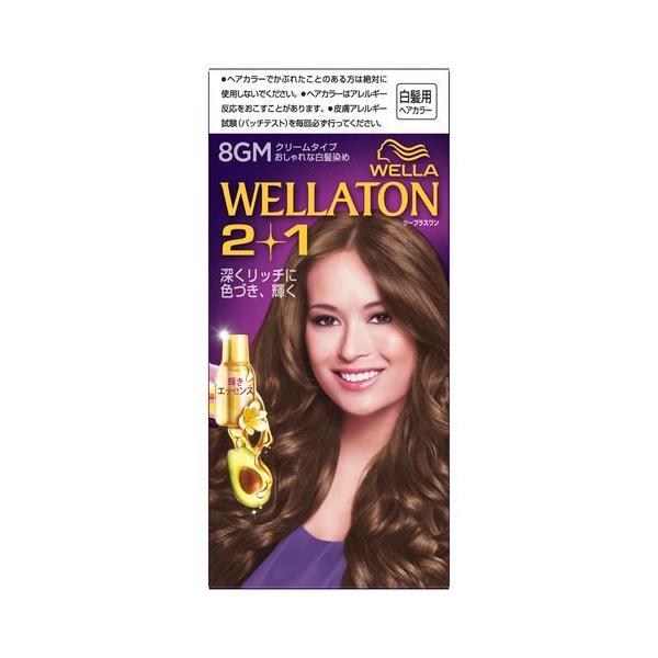 HFCvXe[WJ@EGg[2+1@N[^Cv@8GM@p