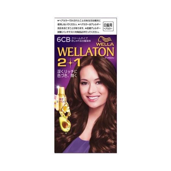 HFCvXe[WJ@EGg[2+1@N[^Cv@6CB@p߁@