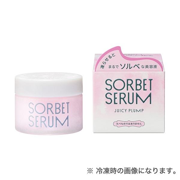 資生堂　Ｓ　ソルベセラム　（ジューシープランプ）　65g