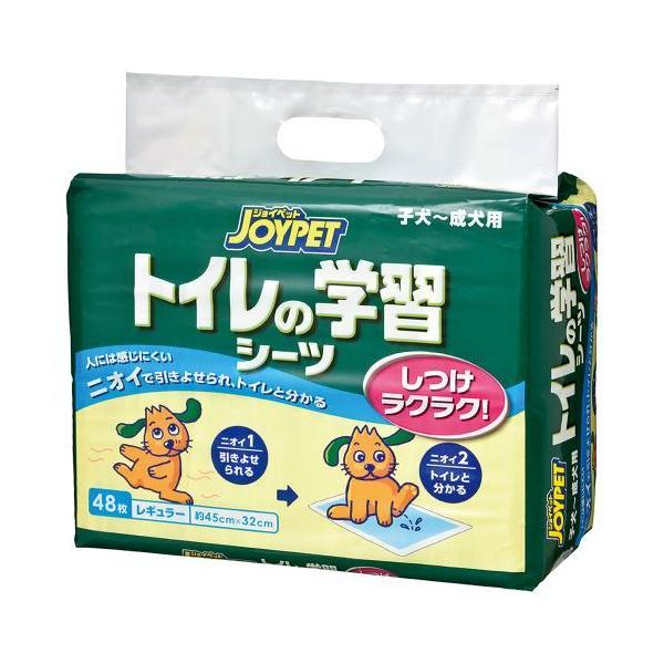 A[Xybg@WCybg@gC̊wKV[c@M[@48