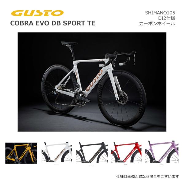 GUSTO グスト COBRA EVO DB SPORT TE コブラエヴォ ディスク スポーツ