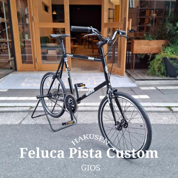 ehakusen_pista-flt