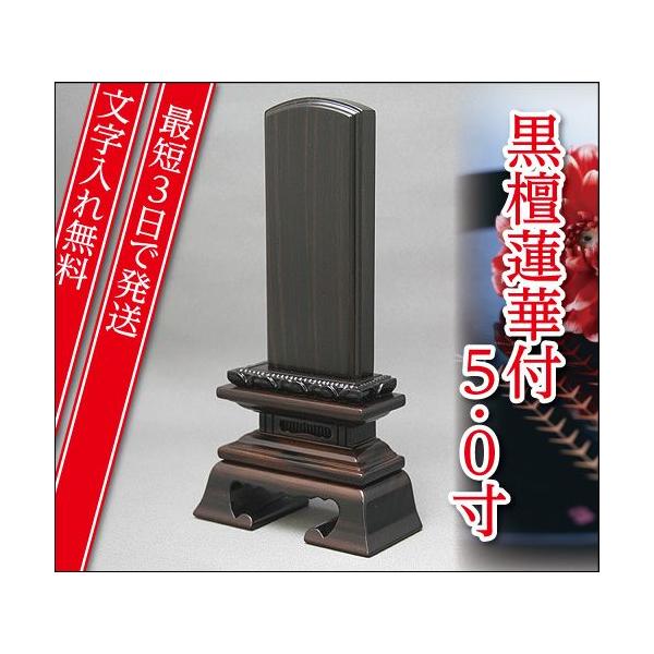 wŒZ3Ŕ ꖳxh @ؕtt 5.0 Ƌʔv _ʔv