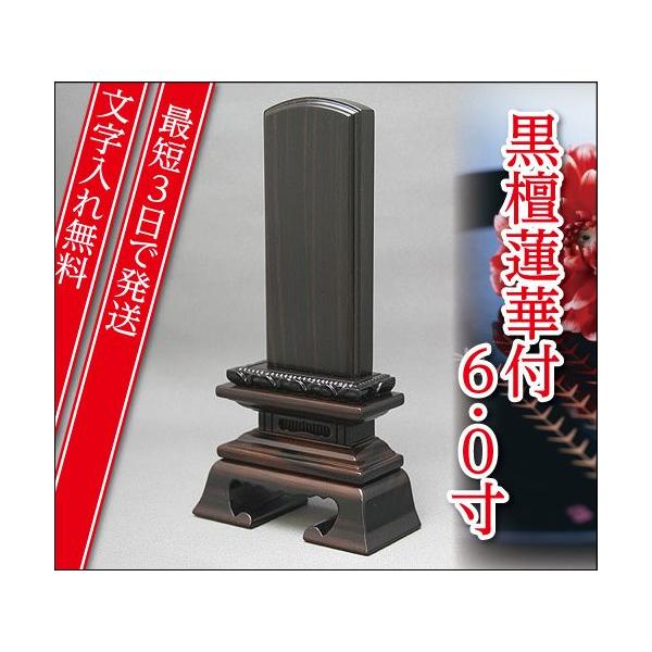 wŒZ3Ŕ ꖳxh @ؕtt 6.0 Ƌʔv _ʔv