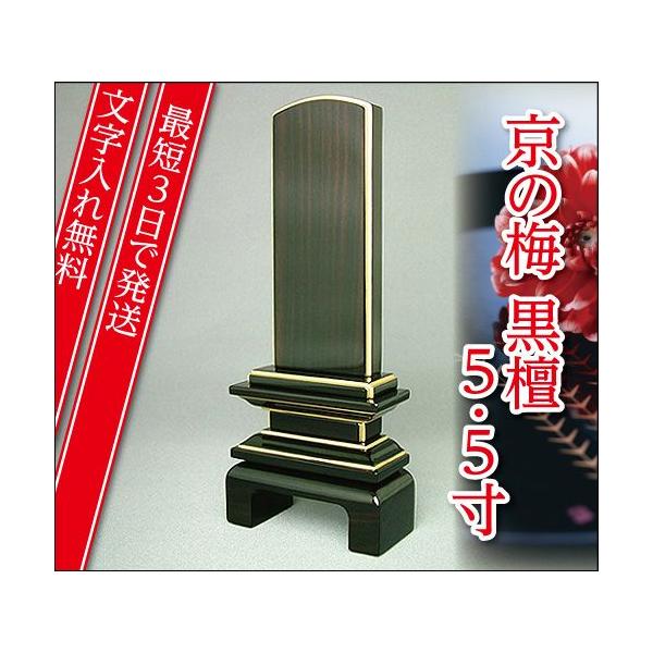 wŒZ3Ŕ ꖳxYi ̔~ dグh 5.5 Ƌʔv _ʔv